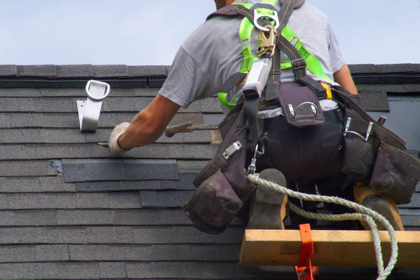 Best Roof Maintenance Services  in Waverly, IL