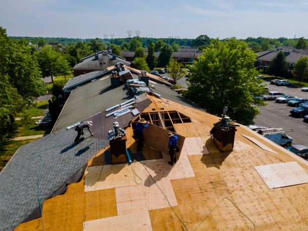 Best Flat Roof Repair Services  in Waverly, IL