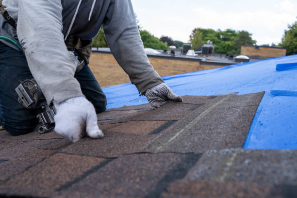 Best Commercial Roofing Services  in Waverly, IL