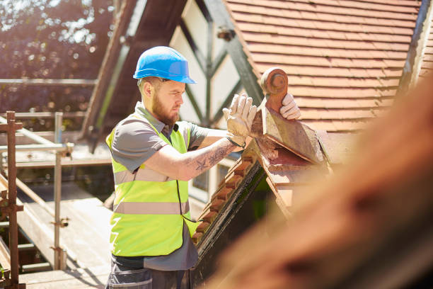 Best Commercial Roof Installation  in Waverly, IL