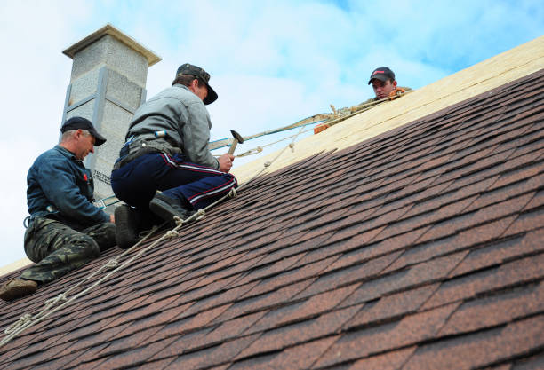 Best Slate Roofing Contractor  in Waverly, IL