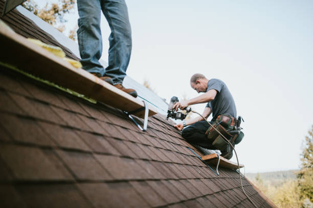 Quick and Trustworthy Emergency Roof Repair Services in Waverly, IL